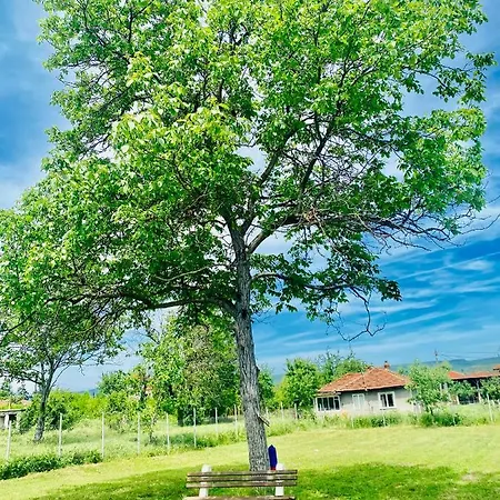 Caravans 10 Min To & 35 Min To Black Sea Camping *