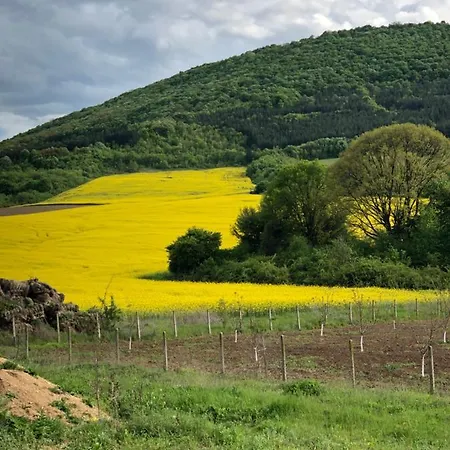 Caravans 10 Min To & 35 Min To Black Sea Kemping Tsonevo