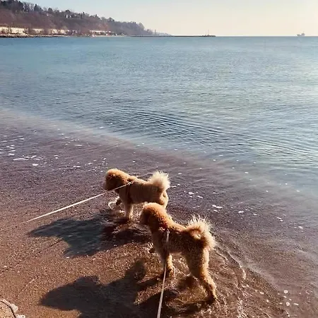 Caravans 10 Min To & 35 Min To Black Sea Campeggio *