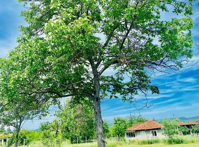 Caravans 10 Min To & 35 Min To Black Sea Camping *