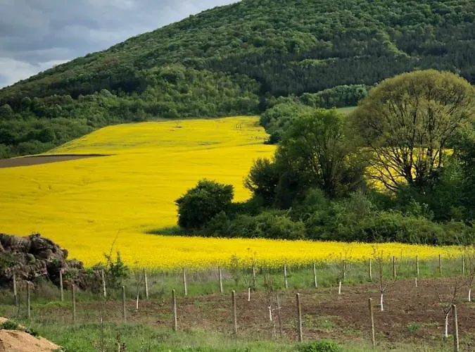 Caravans 10 Min To & 35 Min To Black Sea Camping Tsonevo